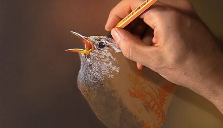 Marcello Barenghi - Drawing A Tiny Bird
