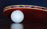 Table Tennis Shot Of The Day