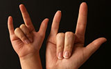 Swedish Sign Language Master