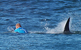Jeffreys Bay Final Mick Fanning Shark Attack World Surf League