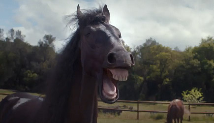 Volkswagen Trailer Assist Commercial, Horses, Humor