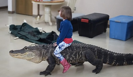 Kids Alligator Ride