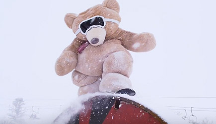 Stuart Edge - Snowboarding Bear