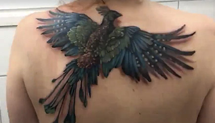 Flying Phoenix Tattoo By André Zechmann