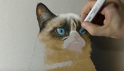 Marcello Barenghi - 3D Grumpy Cat Drawing