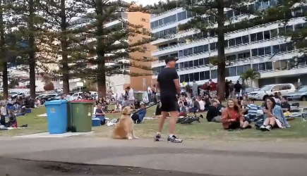 Dog Won't Leave The Park