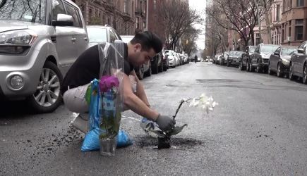 Planting Plants & Flowers In NYC Potholes