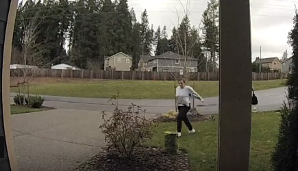 Package Thief Instant Karma