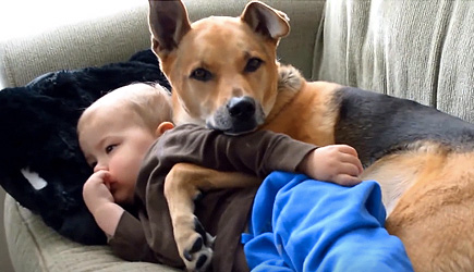 Best Friends - Babies & Dogs