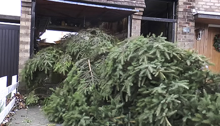 Colin Furze - Sqweezing 26ft Tree In 18ft House
