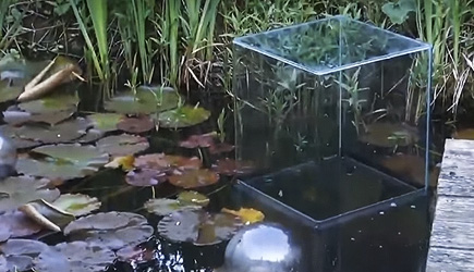 DIY Fish Pond Penthouse