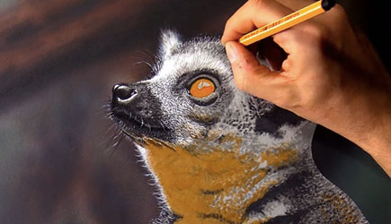 Marcello Barenghi - Drawing a Realistic Lemur